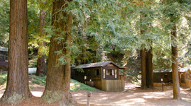Forest & Meadow View Cabins