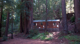 Forest & Meadow View Cabins