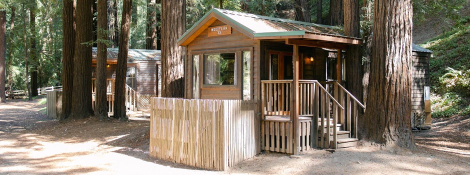 Forest Cabins 32 and 33