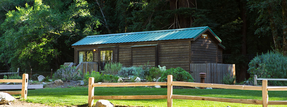 Forest and Meadow View Cabins